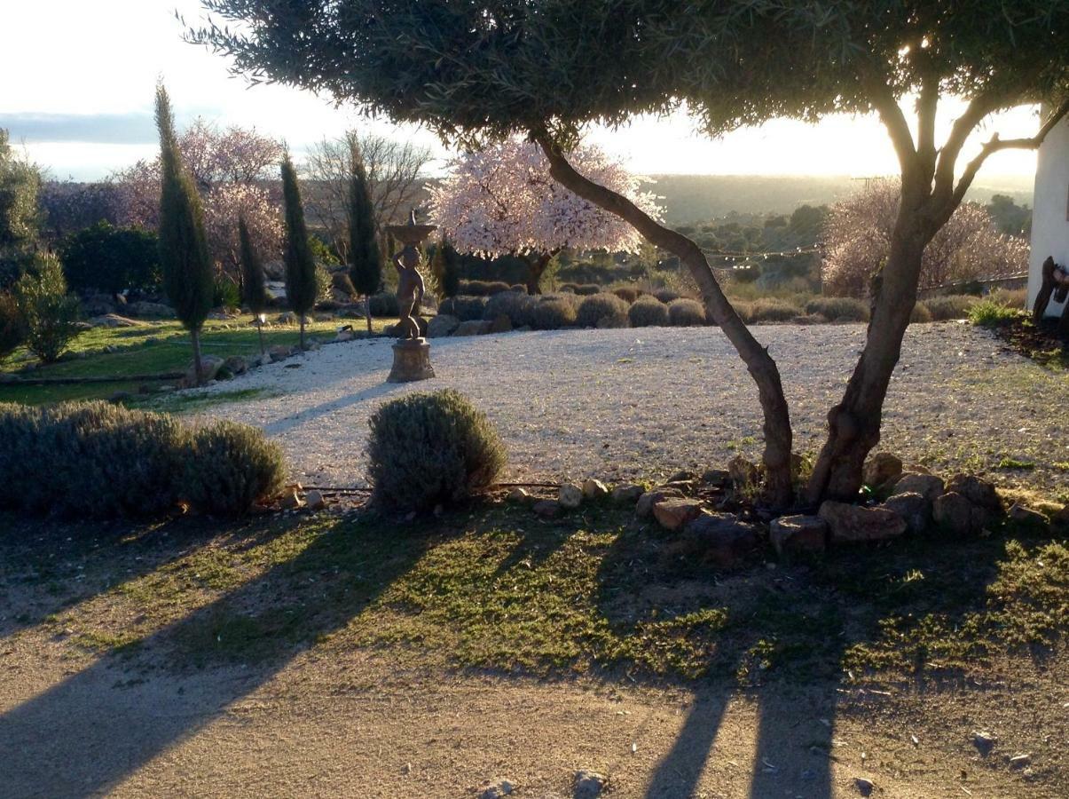 Finca El Cerco A 5M De Puy Du Fou Y 10M A Casco Antiguo De Toledo Vila Argés Exterior foto