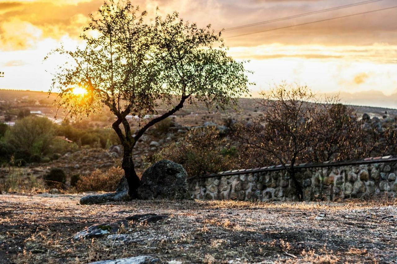 Finca El Cerco A 5M De Puy Du Fou Y 10M A Casco Antiguo De Toledo Vila Argés Exterior foto